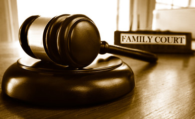 gavel and book that says family court