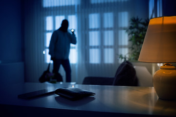 burglar in house committing larceny